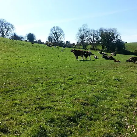 Ashdene Country Bed & Breakfast Wicklow
